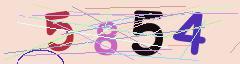 CAPTCHA validation image