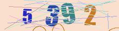 CAPTCHA validation image
